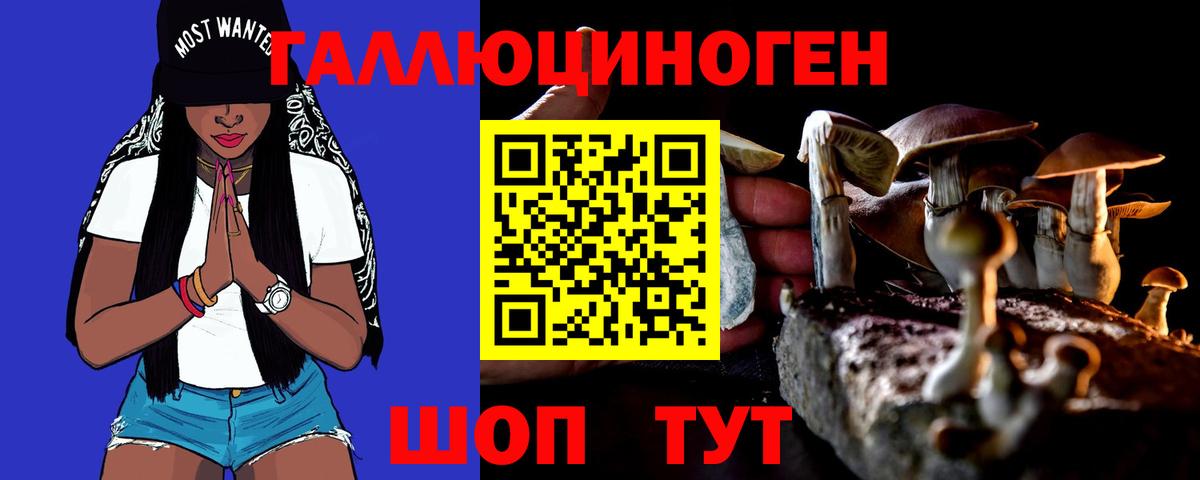 Галлюциногенные грибы Cubensis  Вход с VPN  Галлюциногенные грибы Psilocybine cubensis  Татарск 